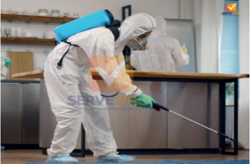 pest control